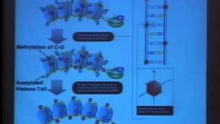 Pt. 1 Frederick vom Saal  - BA, MS, PhD discusses potential risks of Bisphenol A IAOMT 2007 Tucson