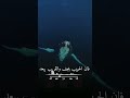 الحياة قصيرة و فيها ابتلاء فاذكرو الله ابتهالات 