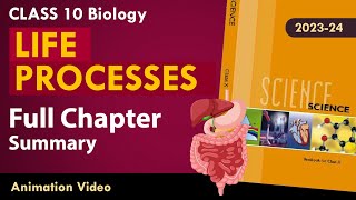 Life process class 10 Animated video | 10th BIOLOGY | ncert #science | Chapter 7 Part-1