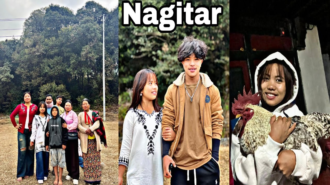 नगिटार।