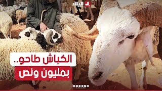 الموّالون يكشفون عن تراجع أسعار المواشي قبل عيد الأضحى بمعدل يصل إلى مليون ونصف سنتيم.. شاهد: