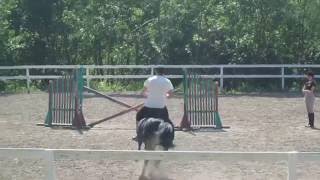 Retarded Running Horse (Original)