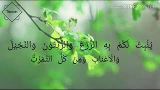 Qs. An nahl ayat 1- 15 , Qari : emad al mansary