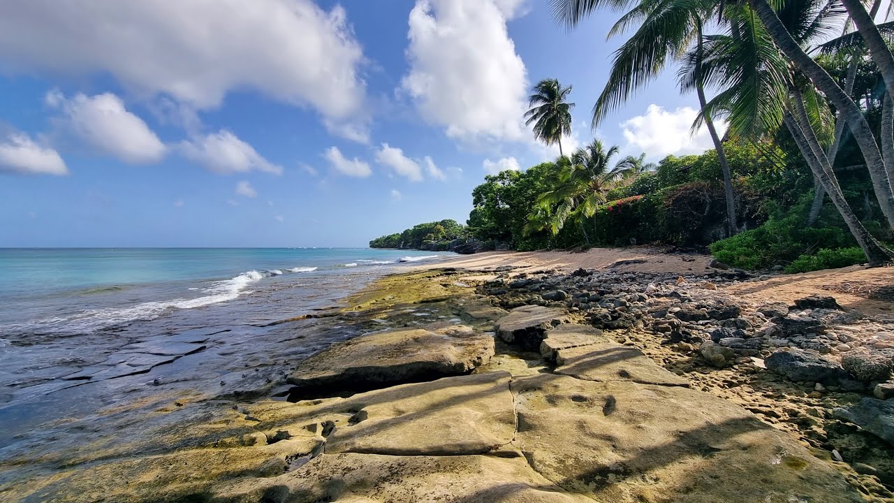 June 16, 2023 - Meditation In Alleynes Bay (4k) - YouTube