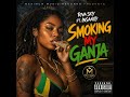Riva Sky Ft. Insanity - Smoking my Ganja (2026)  #ai #electronic #dub #reggae #music