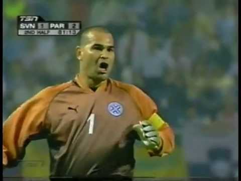 Chilavert - Free kick vs Slovenia World Cup 2002