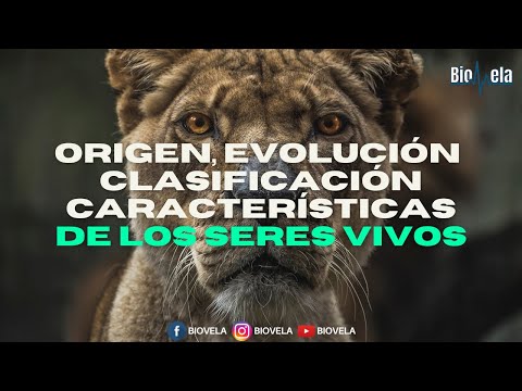 Las características de los seres vivos