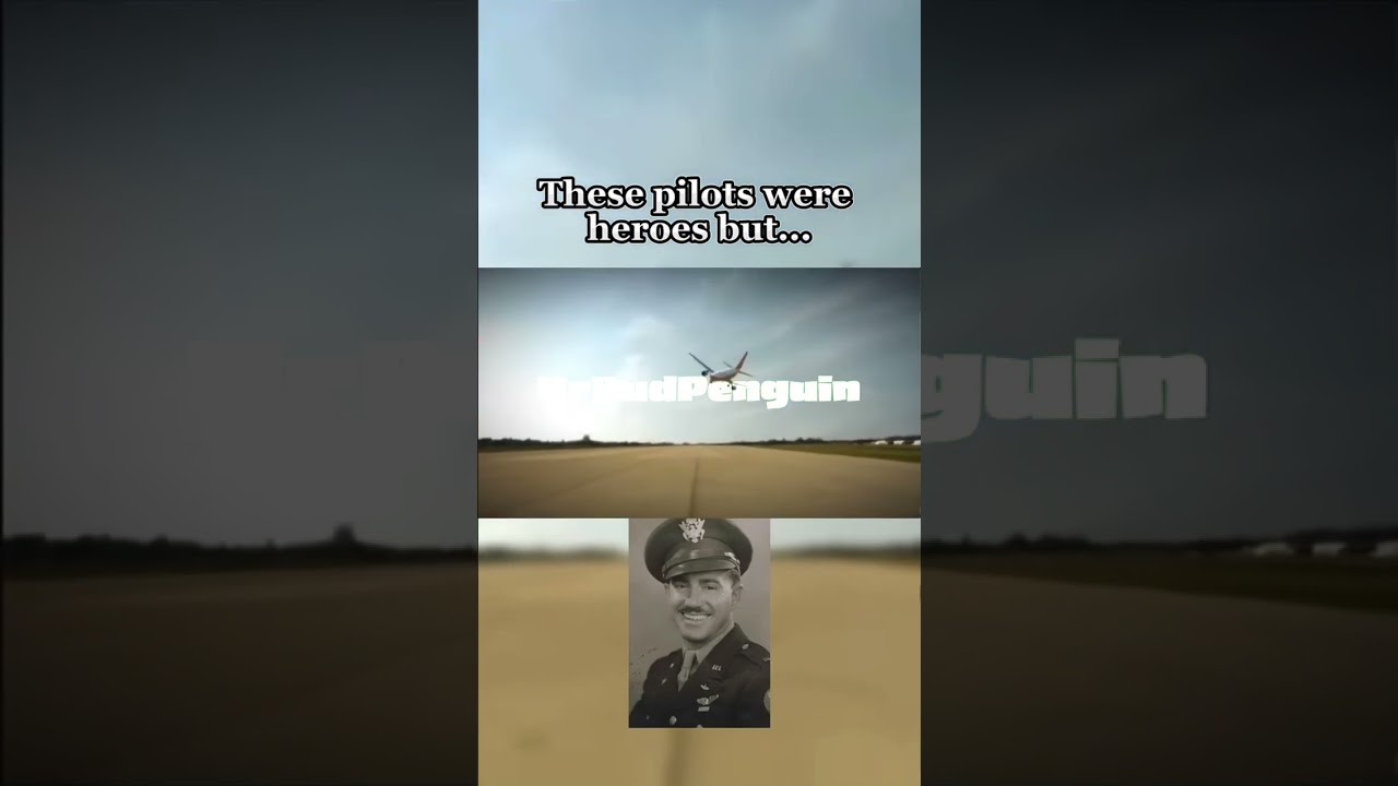 These pilots were heroes, but what about… 