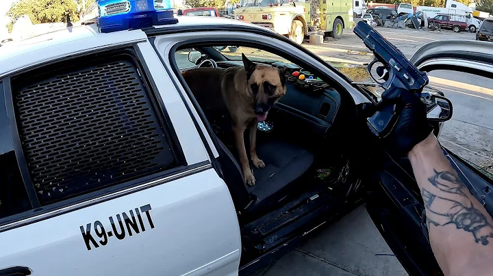 I bought an ex SHERIFF K9 UNIT! Found a CZ75B Bisc...
