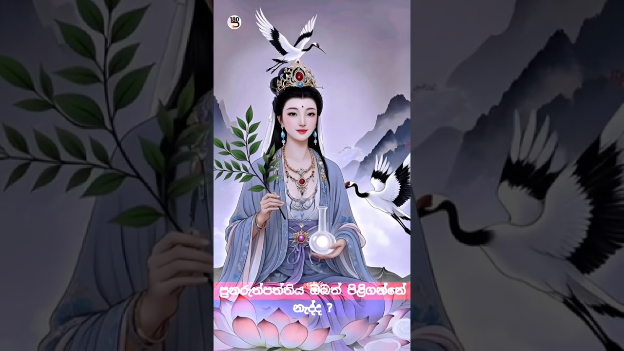 ‼️ඔබෙ අදහස යටින් ලිය...‼️☝️