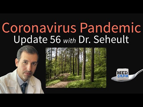 Coronavirus Pandemic Update 56: What is “Forest Bathing” & Can It Boost Immunity Against Viruses?