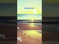 Fill It | Deep House Vibes 🌴