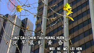 Video thumbnail of "Luo Shi Feng 罗时丰 - 难忘的初恋情人 Nan Wang De Chu Lian Qing Ren"