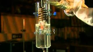 Measuring The Energy In Food