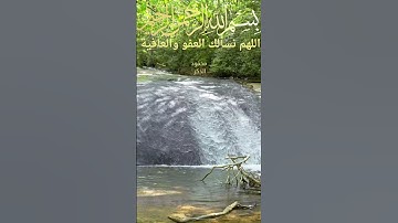 تلاوةمن سورة الجمعة #اللهم_نسألك_العفو_والعافية #مشاريالعفاسي #ماهرالمعيقلي #duet #تيك_توك #دويتو