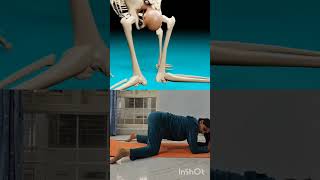 Pregnancy exercise for third trimester