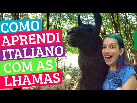 Como aprendi ITALIANO SOZINHA - experiência Workaway na Itália com lhamas