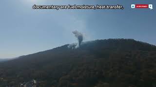 The Wildfires That Create Their Own Weather | Full Documentary