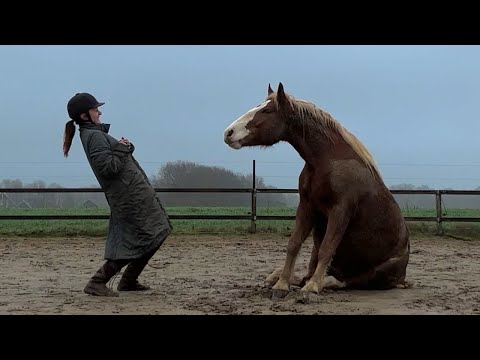 PROUD MARE “REDE” SHOWS OFF HER NEW TRICKS