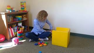 1.C.1 How to match and sort identical objects