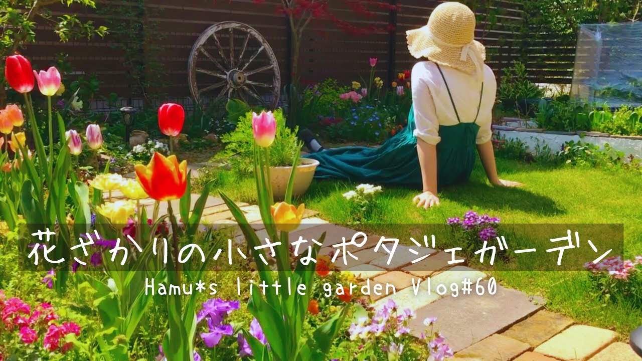 春の最盛期/花も野菜も果樹も楽しむ小さなポタジェガーデン