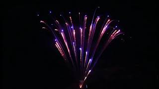 JX-STB016 RED STROBE WILLOW TO BLUE 49 LANCI Z SHAPE 6/1 20*25*175* F2