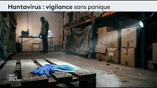 Hantavirus au Maroc : faut-il vraiment s’inquiéter ?
