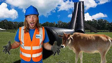 Handyman Hal Explores a Farm | Farm Animals and Huge Slide | Handyman Hal Fun Videos for Kids