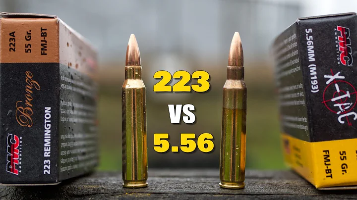 223 vs 5.56 | What's the Difference?