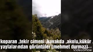 Yol kenarına kazın mezarımı aman aman