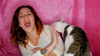 Funny Cats Interrupting Fails 😺 | Failarmy 2021