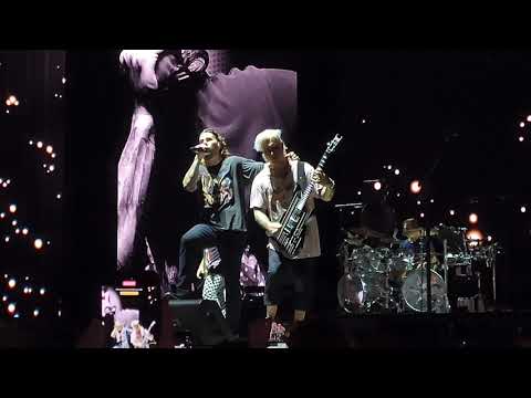 Avenged Sevenfold - So Far Away (Live In Tampa 2023 4K)