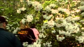 Psychic Detectives - Preview - Mystery on the Mountain