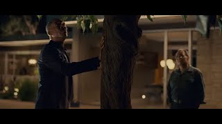 A Thousand Words When The Tree Arrived