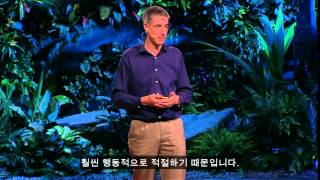 [TED] 뇌의 진정한 이유 Daniel Wolpert