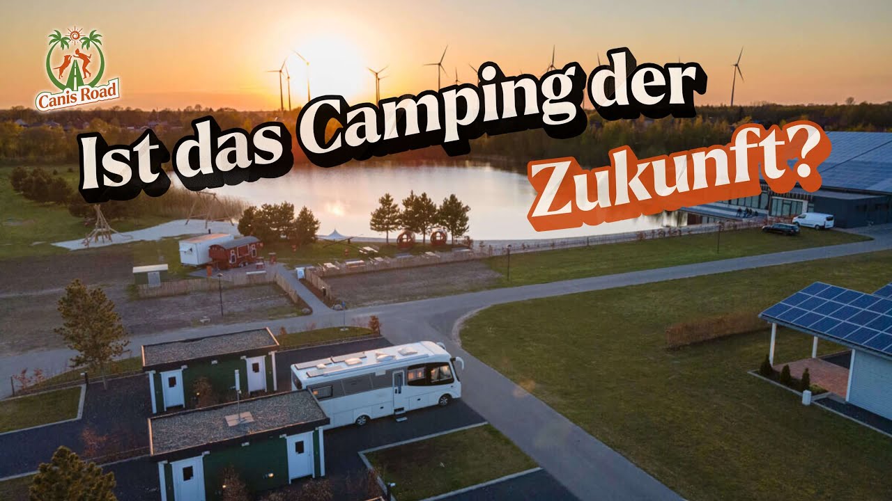 baltais zelts laulību gredzeni Divu krāsu laulības Kamp Danica Universe Accessory Model:Dice 5.0