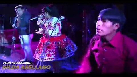 HILDA ARELLANO EN VIVO