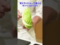 見れば真似したくなる!日本料理界の『マスター』によるキャベツの千切り