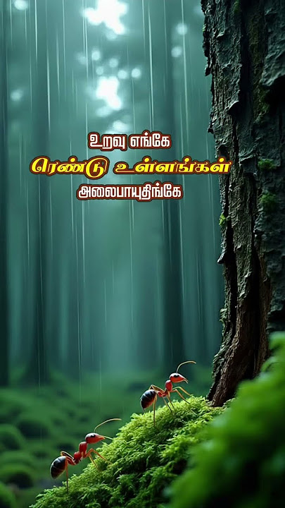 தேடி கிளி ரெண்டும் தடுமாறுது இங்கே 💞 Koodu engaeThaedi kili rendum thadumaarudhingae❤️ #lyricvideo