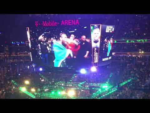 Surprise surprise!!! Live walkout ufc 246 the king is back! Absolute master piece!