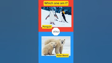 Guess this unique animal #quiz #animals #shorts