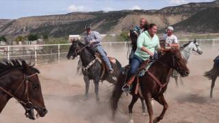 Riding Resume