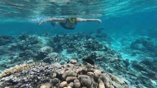 Heidi Expolores Aroa Marine Reserve in Rarotonga March 2026