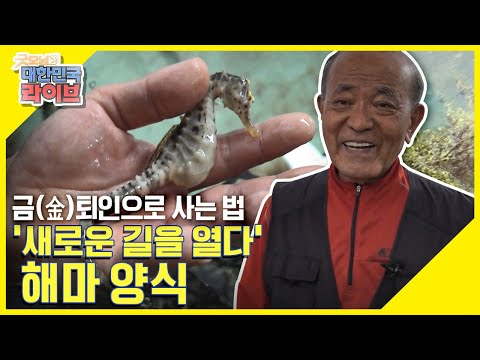 [금퇴인으로 사는 법] 연 매출 100억 원에 도전하는 해마(海馬)양식 KBS 210504 방송