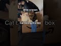 #cat #cats