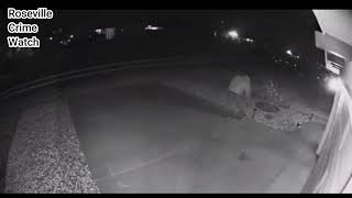 Some guy came up and took my lights -  Roseville Ca