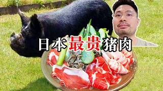 16000日元1公斤的日本最贵猪肉，到底什么味道？值不值？