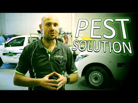 Comprehensive Pest Control Solution Offer