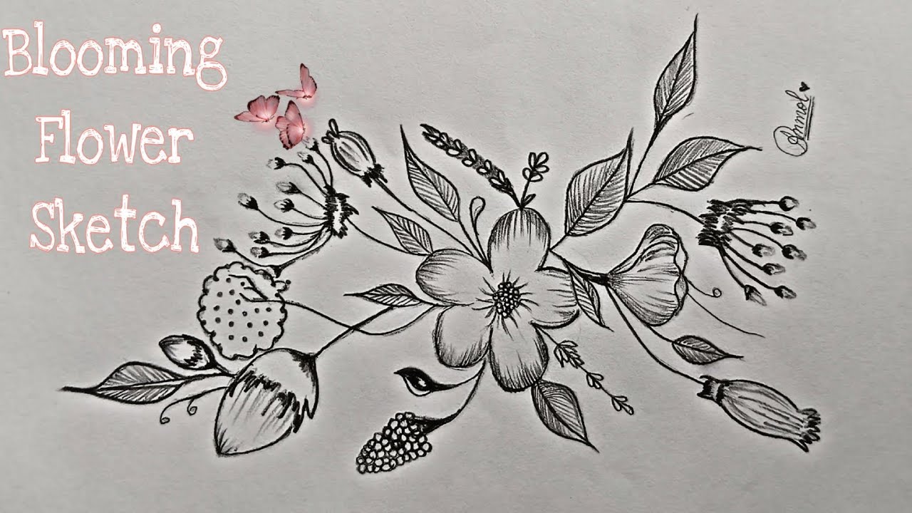 Blooming 🌸Flower Sketch Pencil Sketch Of Flowers Beautiful Flower