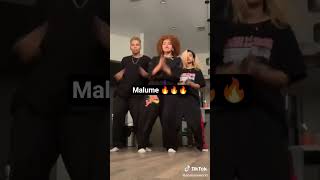 Malume  New Amapiano Sound amapianodancechallenge amapianovibes amapianodance